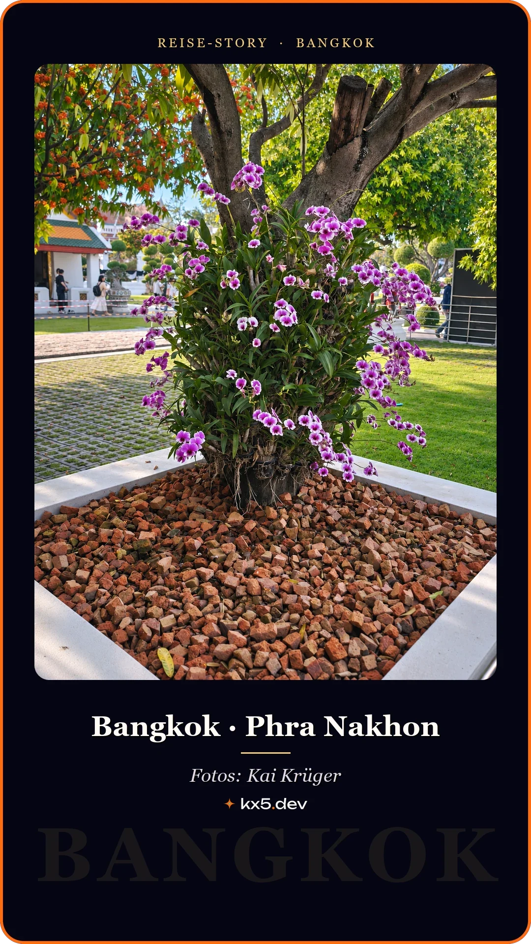 Orchideen im Park: Bangkok · Phra Nakhon