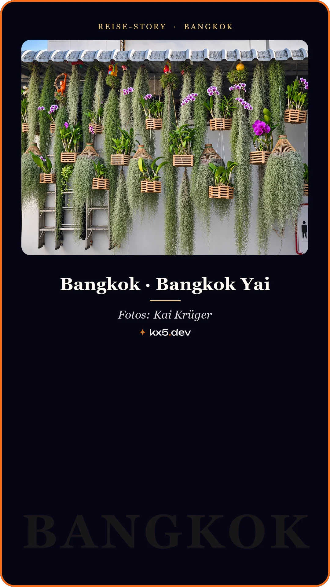 Hängende Pflanzen: Bangkok · Bangkok Yai
