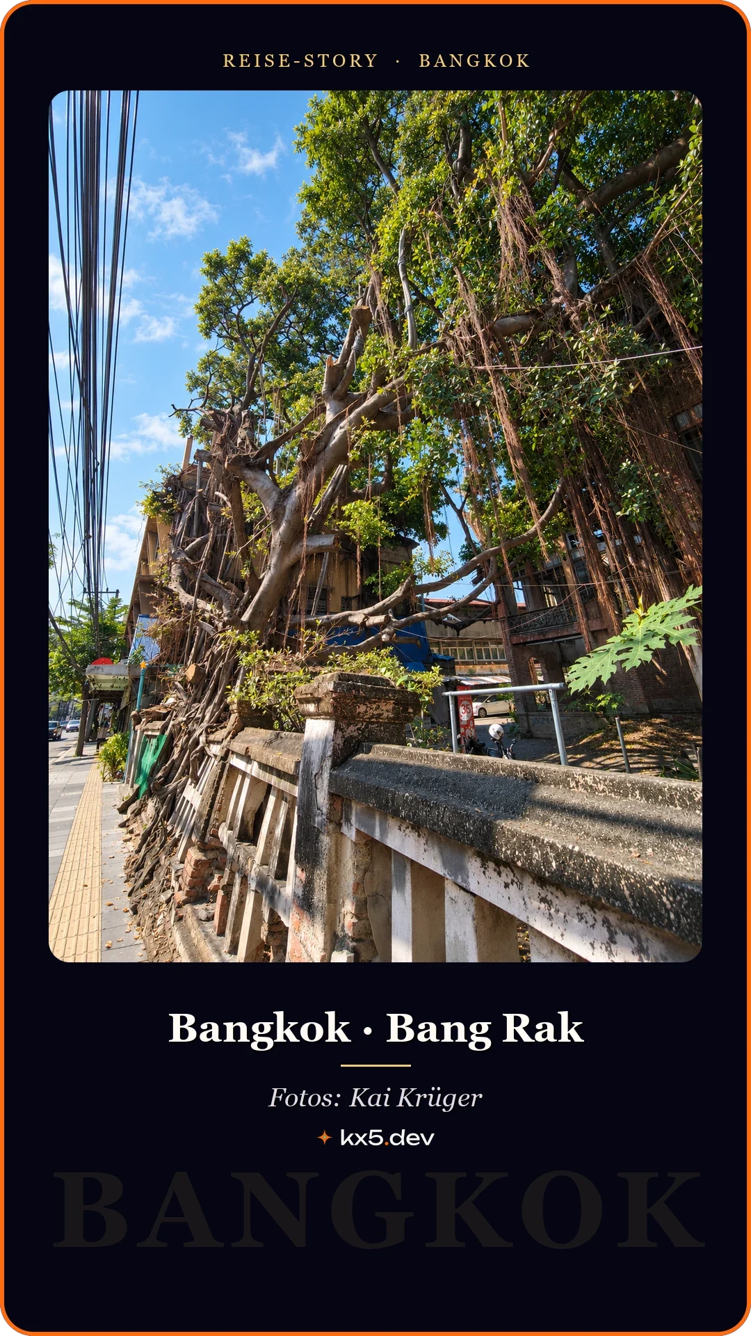 Alter Baum an der Mauer: Bangkok · Bang Rak