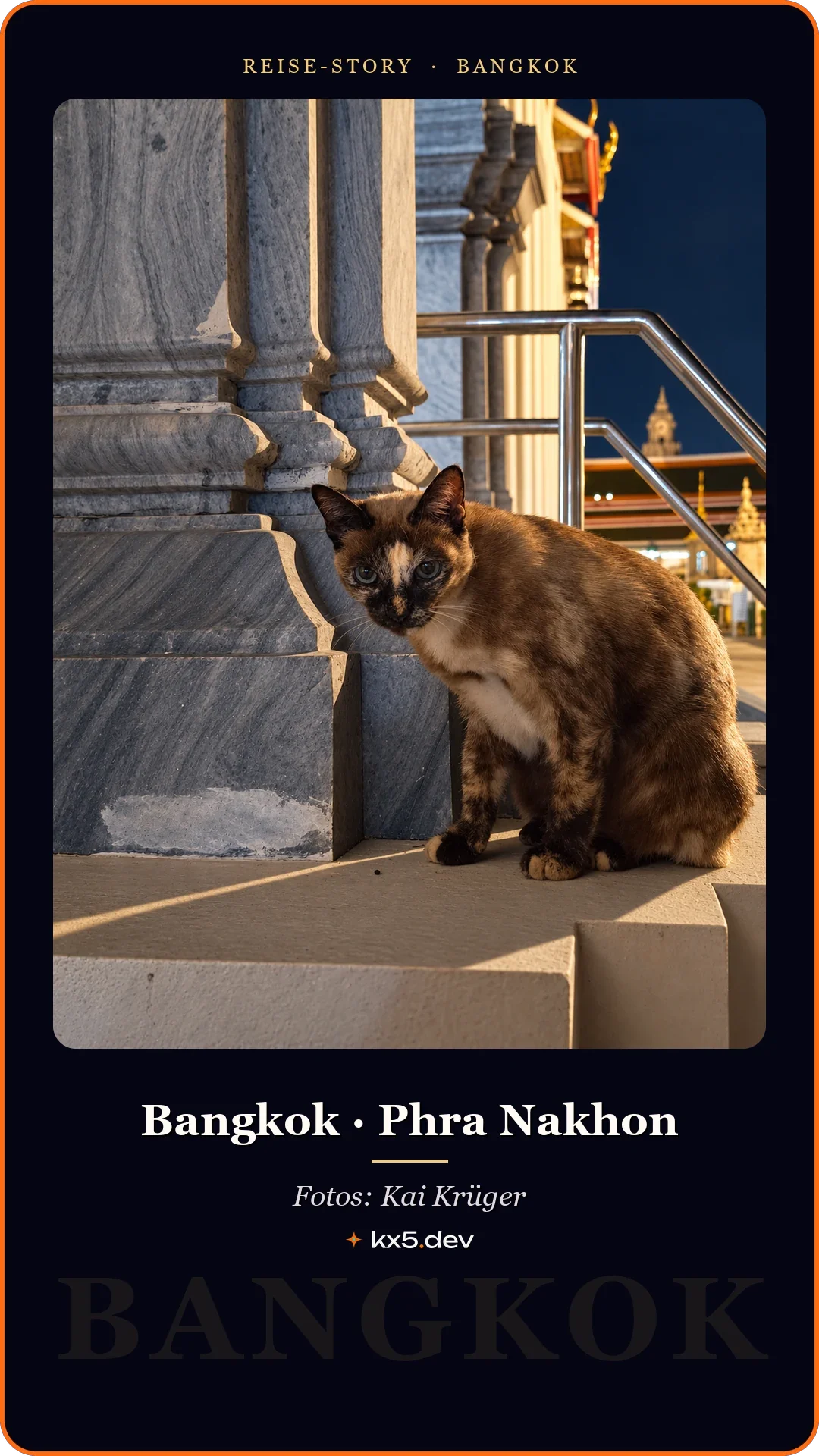 Tempelkatze: Bangkok · Phra Nakhon