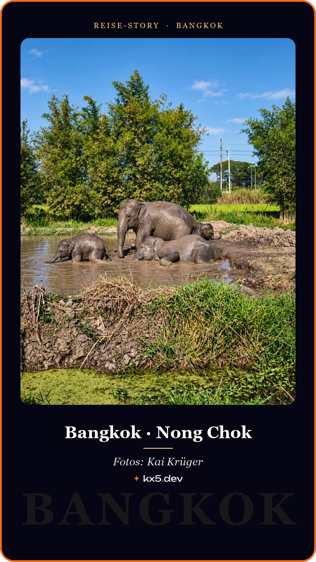 Elefanten am Wasser: Bangkok · Nong Chok